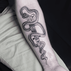 BLADE OF VENOM #blackworktattoo #paris #paristattoo #blackandgrey #dotwork #blackwork #snake #snaketattoo #knife #knifetattoo #mikeend