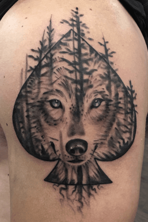Wolf face and forest 